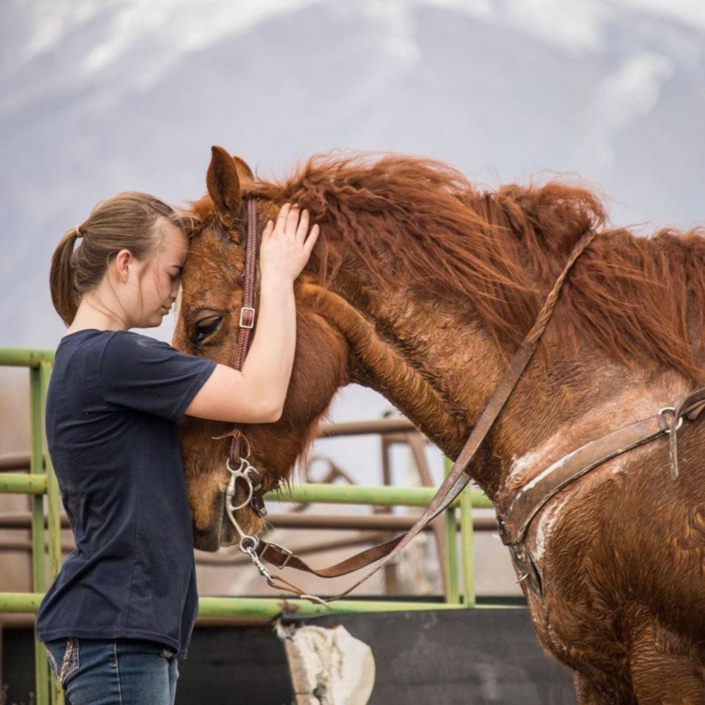 Meet your Posher, Macy
